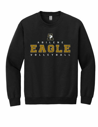 Abilene High Eagles Booster Club - Volleyball