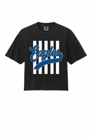 TLCA Eagles Cheer - Stripes