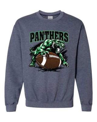 325 Panthers Football - Panthers